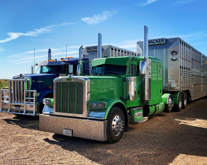 Mike Wacker Trucking Livestock Trucks