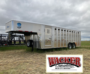 24' x 8' Stock Combo Trailer. Tandem 8,000 lbs Torsion Axles. ST215/75 R17.5(M) 16 Ply Tires on 17.5 X 6.75 Steel Rims. One Moveable Divide Gate. 36" Roadside Door.